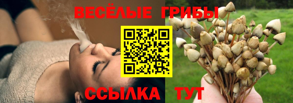 Псилоцибиновые грибы Psilocybe  Вход с VPN  Уссурийск 